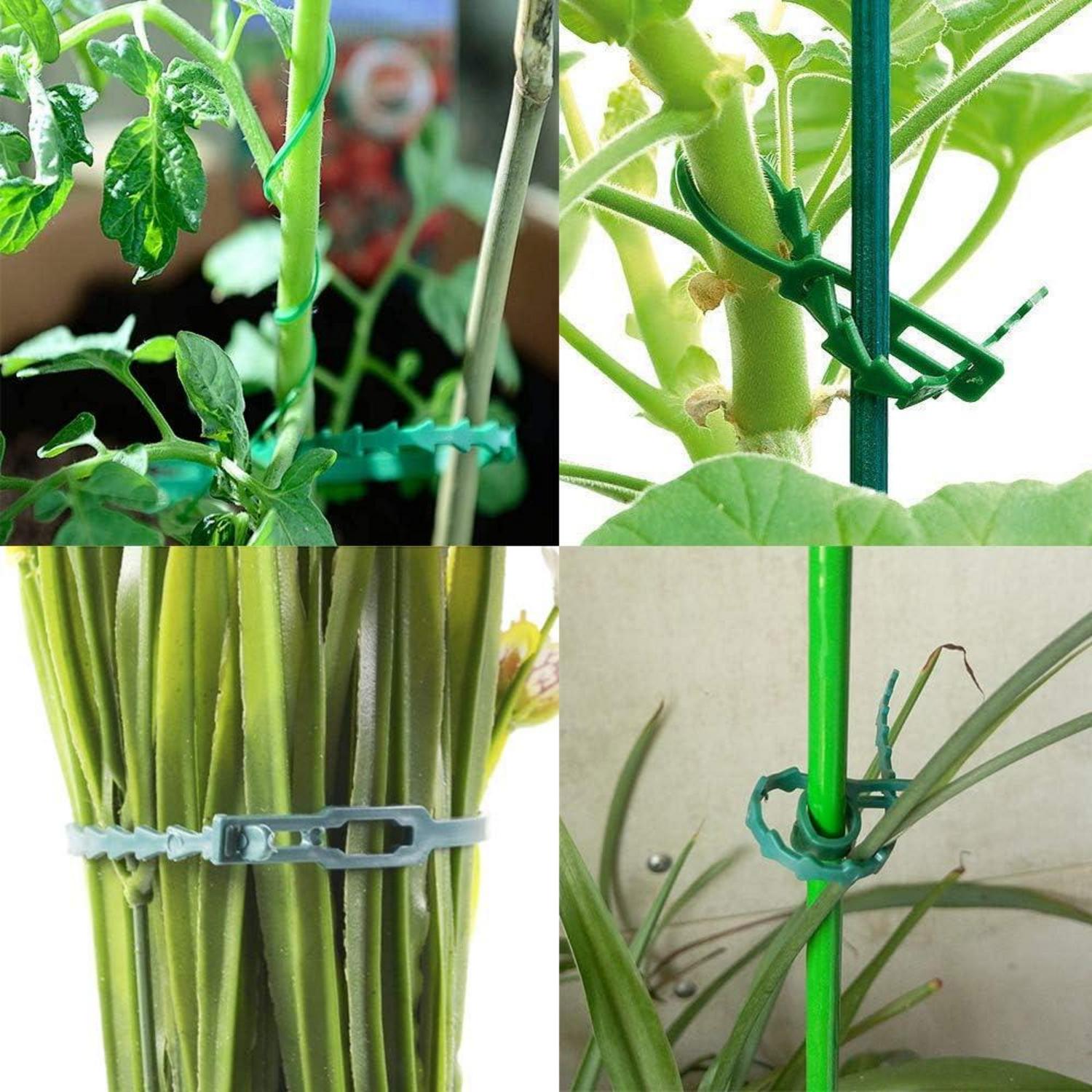 110x Pflanzenclips Set 2 Größen Rankhilfe Tomaten Gurken Kletterpflanzen