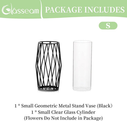 Glasvase mit Metallständer Schwarz für Pflanzen Hydroponik 21,5cm