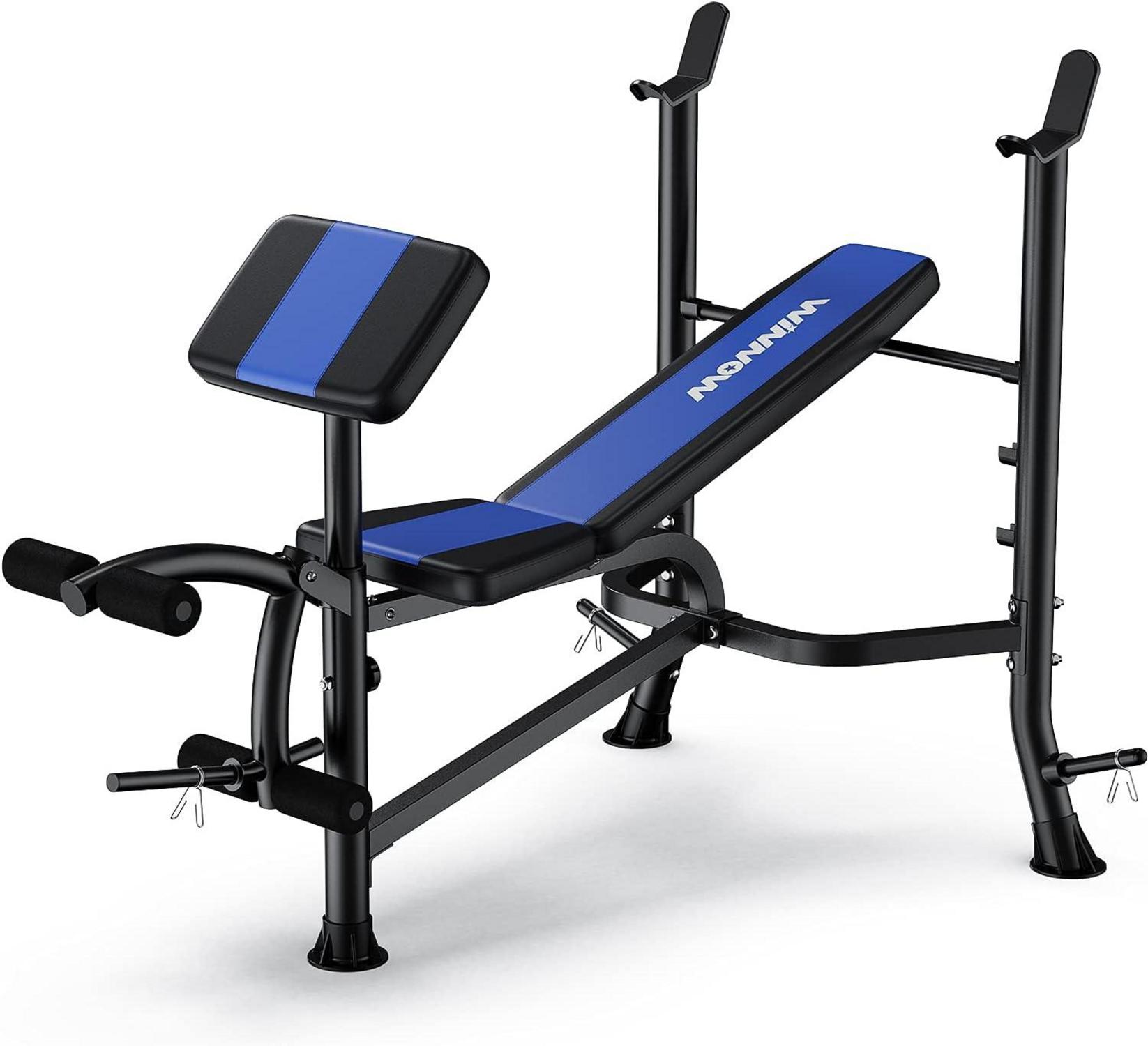 Verstellbare Hantelbank mit Beinstrecker und Preacher Curl Blau