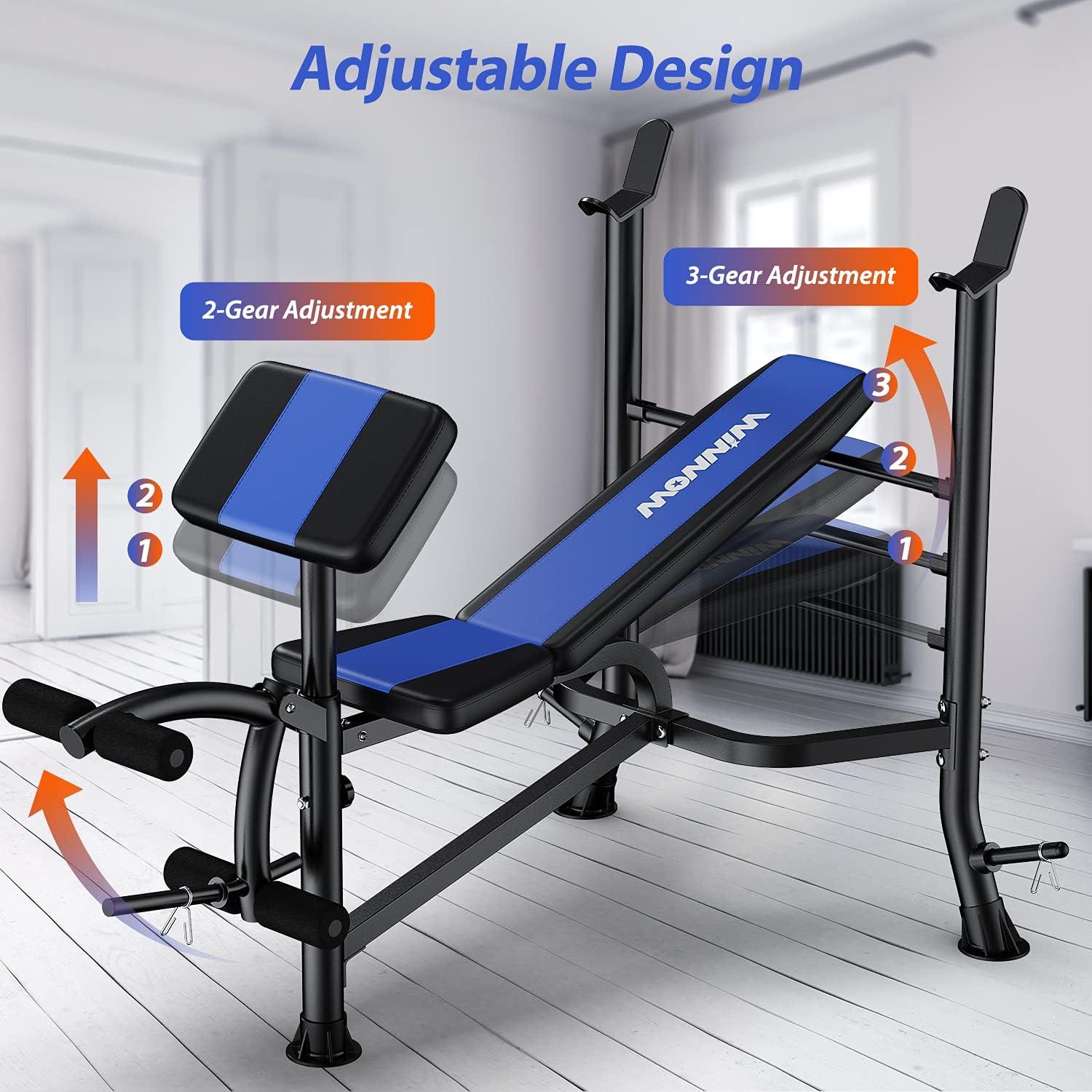 Verstellbare Hantelbank mit Beinstrecker und Preacher Curl Blau