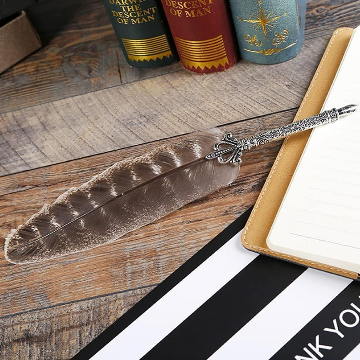Vintage Federkiel-Stift | Naturfeder für Kalligraphie & Büro