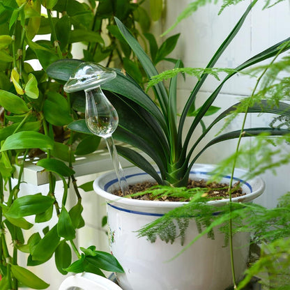 4er Pack Selbstbewässerung Glühbirnen für Pflanzen - Indoor Outdoor