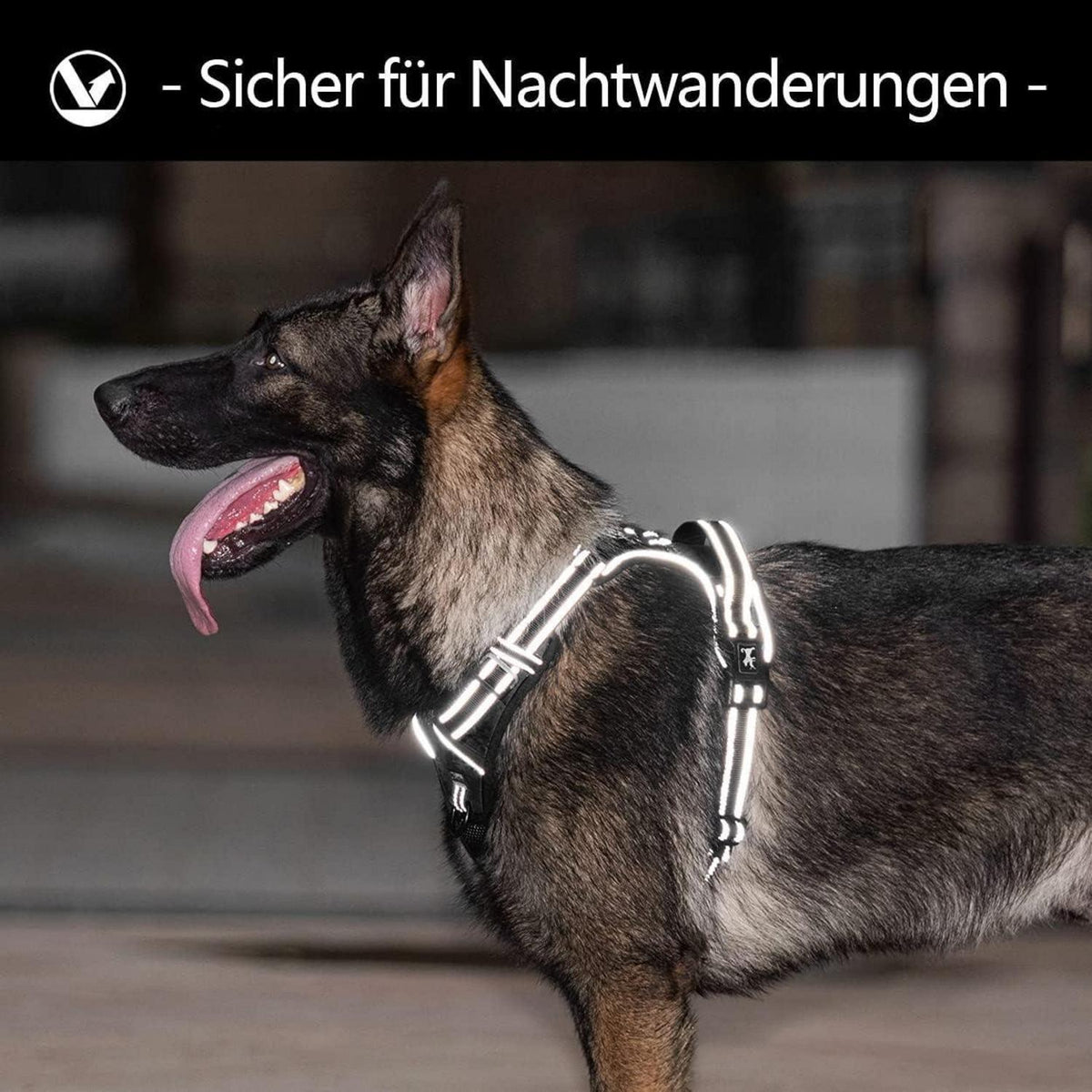 Hundegeschirr mit Front-D-Ring, atmungsaktiv, verstellbar, L Schwarz