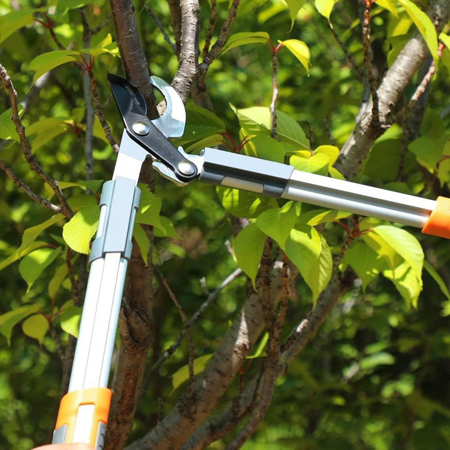 Bypass Astschere SK-5 Kohlenstoffstahl 30 mm Ø 43 cm