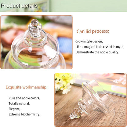 Zuckerdose Glas Süßigkeiten Hochwertig Hochzeiten Dekoratives Bonbonglas