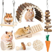 Hamster-Kauspielzeug-Set für kleine