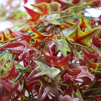 Künstliche Pflanzen Hängend 2er Set Herbstdeko Outdoor 27,8 Zoll