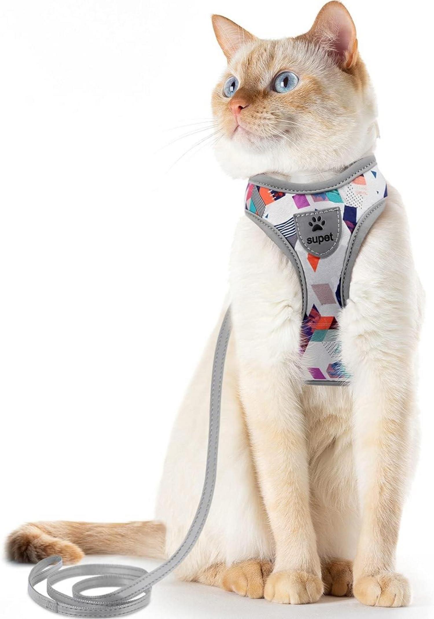 Fluchtsicheres Katzengeschirr und Leine Set reflektierend Grau M