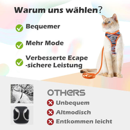 Katzengeschirr und Leine Set Fluchtsicher Verstellbar Grau M 28-46cm