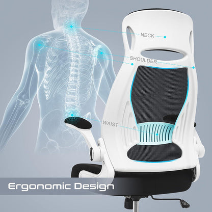 Bürostuhl Ergonomisch mit Armlehnen Lendenwirbelstütze