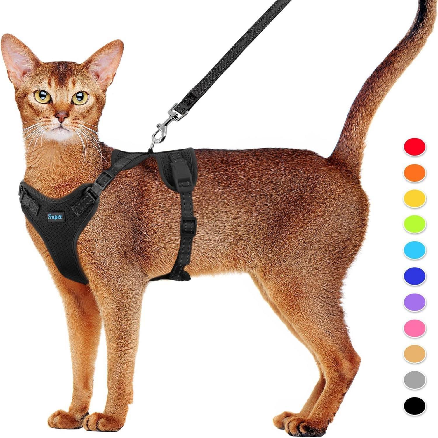 Flucht sicheres Katzengeschirr und Leine SetSupet