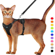 Flucht sicheres Katzengeschirr und Leine SetSupet