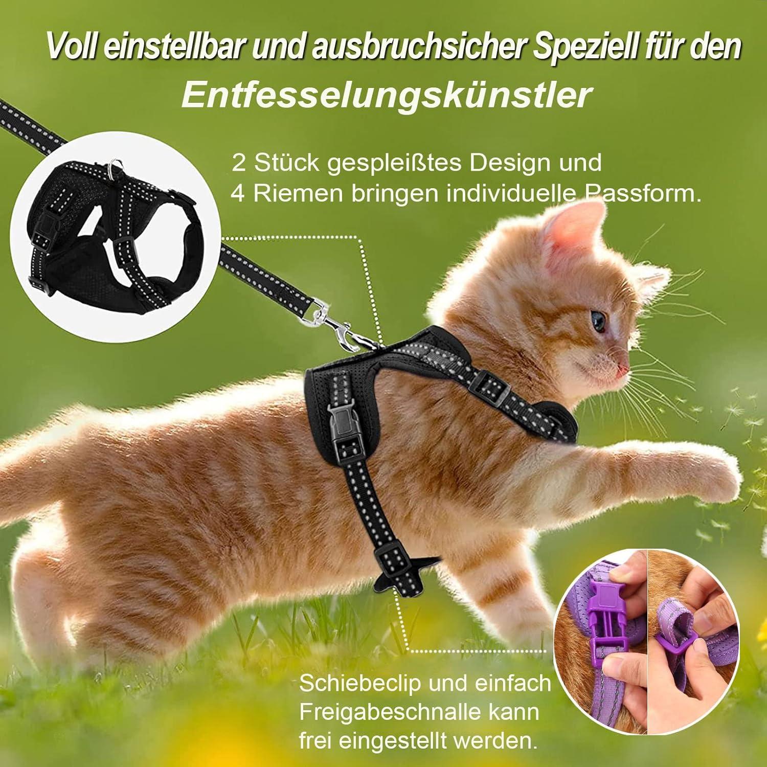 Flucht sicheres Katzengeschirr und Leine SetSupet