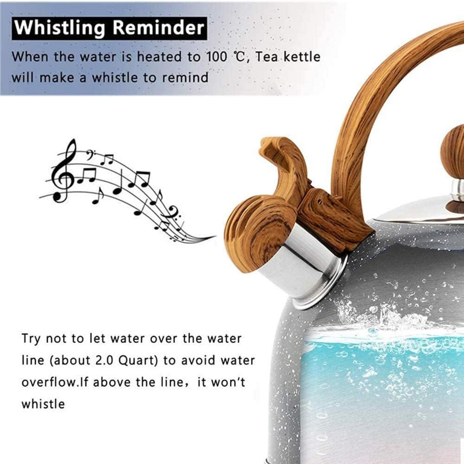 Edelstahl Teekessel Pfeifkessel 2,5L Induktion Wasserkocher Holzmasergriff