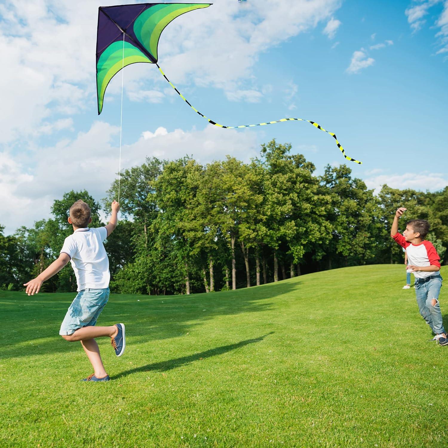 Drachen Kinder und Erwachsene Fliegen im Park Strand