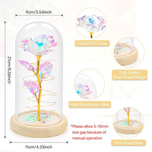 ADAZ Ewige Rose im Glas mit LED-Licht, Geschenk für Frauen