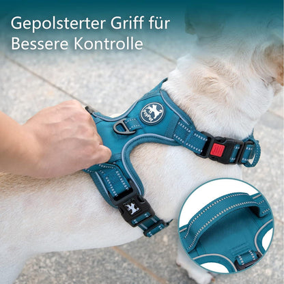 PoyPet Hundegeschirr ohne Zug, reflektierend, gepolstert, Größe M, Tumalo Teal