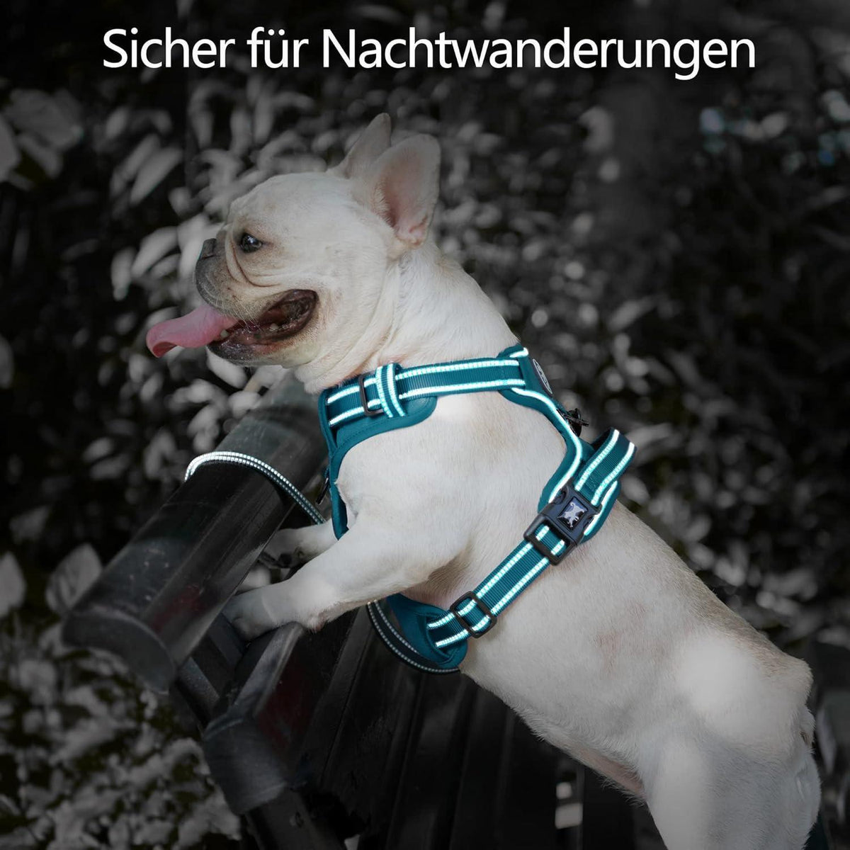 PoyPet Hundegeschirr ohne Zug, reflektierend, gepolstert, Größe M, Tumalo Teal