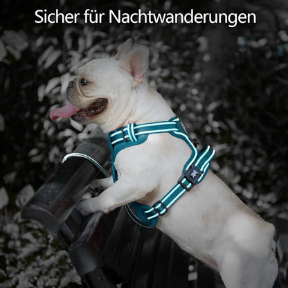 PoyPet Hundegeschirr ohne Zug, reflektierend, gepolstert, Größe M, Tumalo Teal