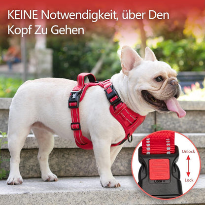 PoyPet Hundegeschirr ohne Zug, Rot, XS
