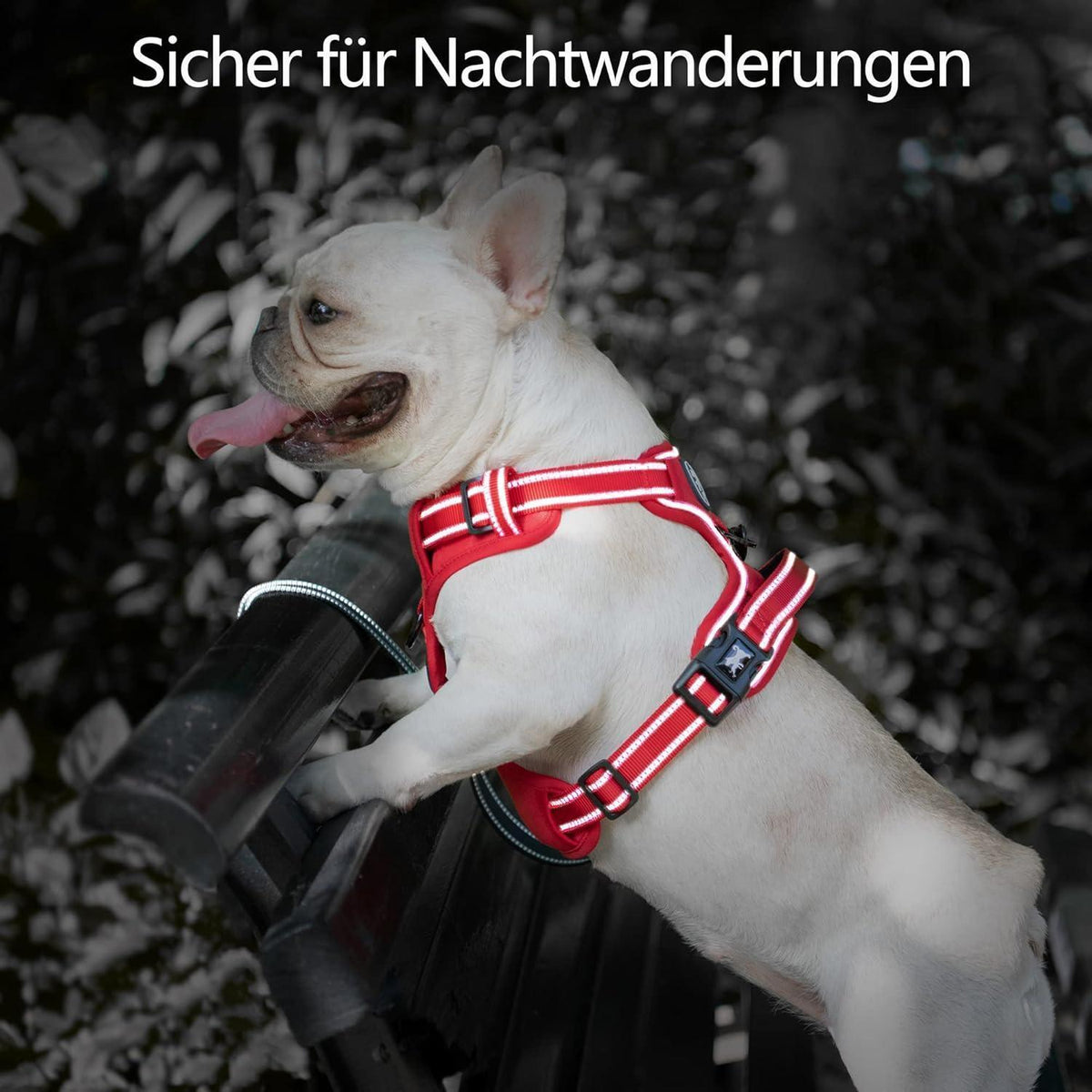 PoyPet Hundegeschirr ohne Zug, Rot, XS