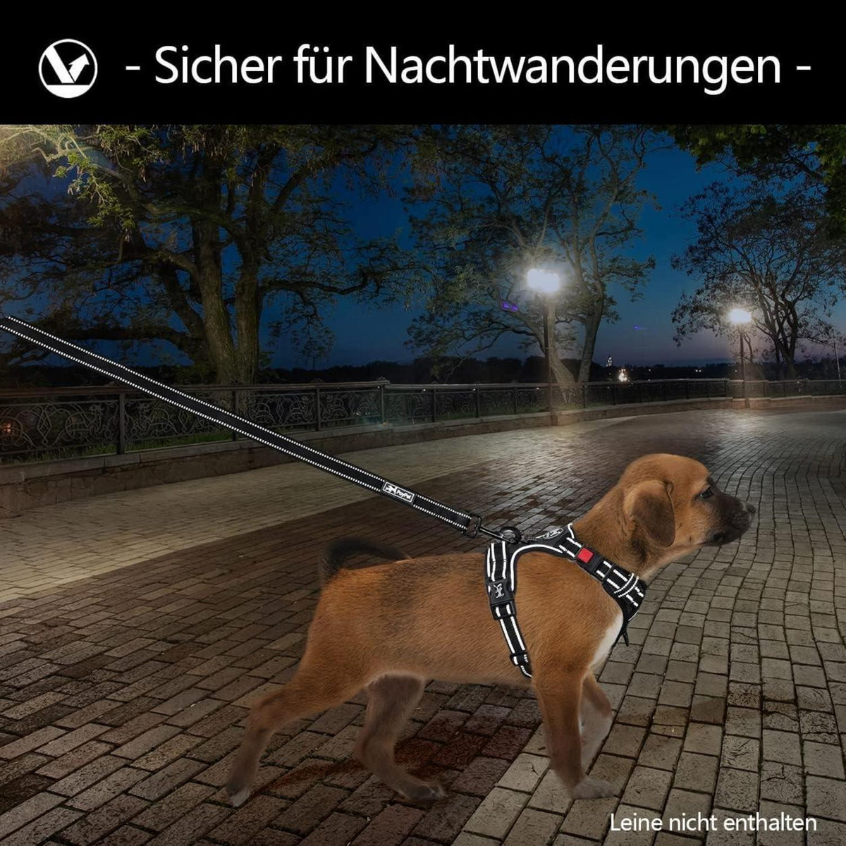 Hundegeschirr ohne Ziehen, XS Schwarz, verstellbar, gepolstert