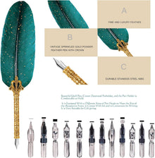 Vintage Federkalligraphie Set. Schreibfeder Tinte, 12