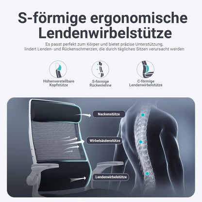 Bürostuhl Ergonomisch Mesh Schwarz inklusive EN1335, Verstellbare Kopfstütze & Lendenwirbelstütze