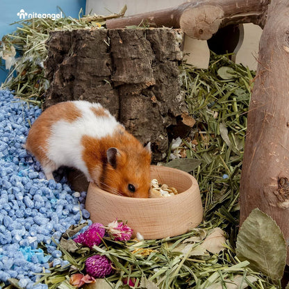 Holz Hamster-Futternapf 7,9 cm – Kleintier-Futterschale