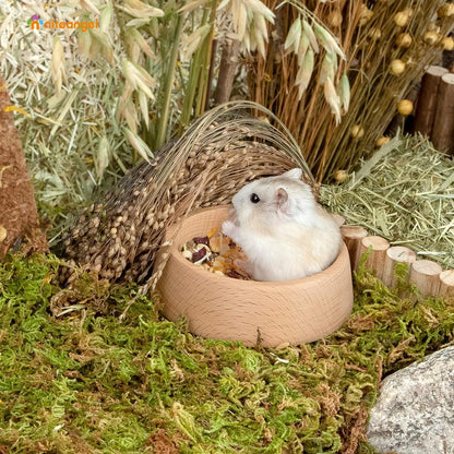 Hamster-Futternapf aus Holz für syrische