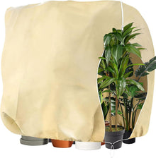 Winterschutz Pflanzen Olivenbaum Frostschutz Zugband 240 x 200cm Beige
