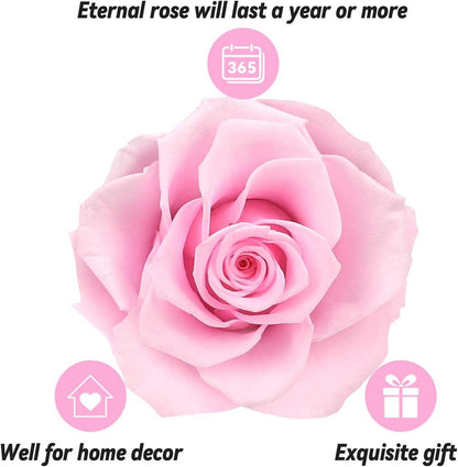 Ewige Rose mit I Love You Halskette Konservierte Blumen Geschenkbox