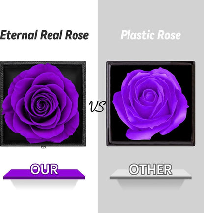 Ewige echte Rose mit I Love You Halskette und Geschenkbox