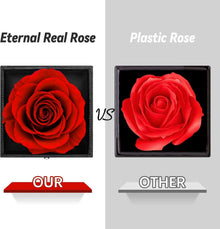 Rote Ewige Rose mit I Love You Halskette und Geschenkbox