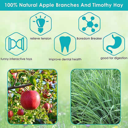 70PCS Kaninchen Spielzeug Natürliches Kauspielzeug