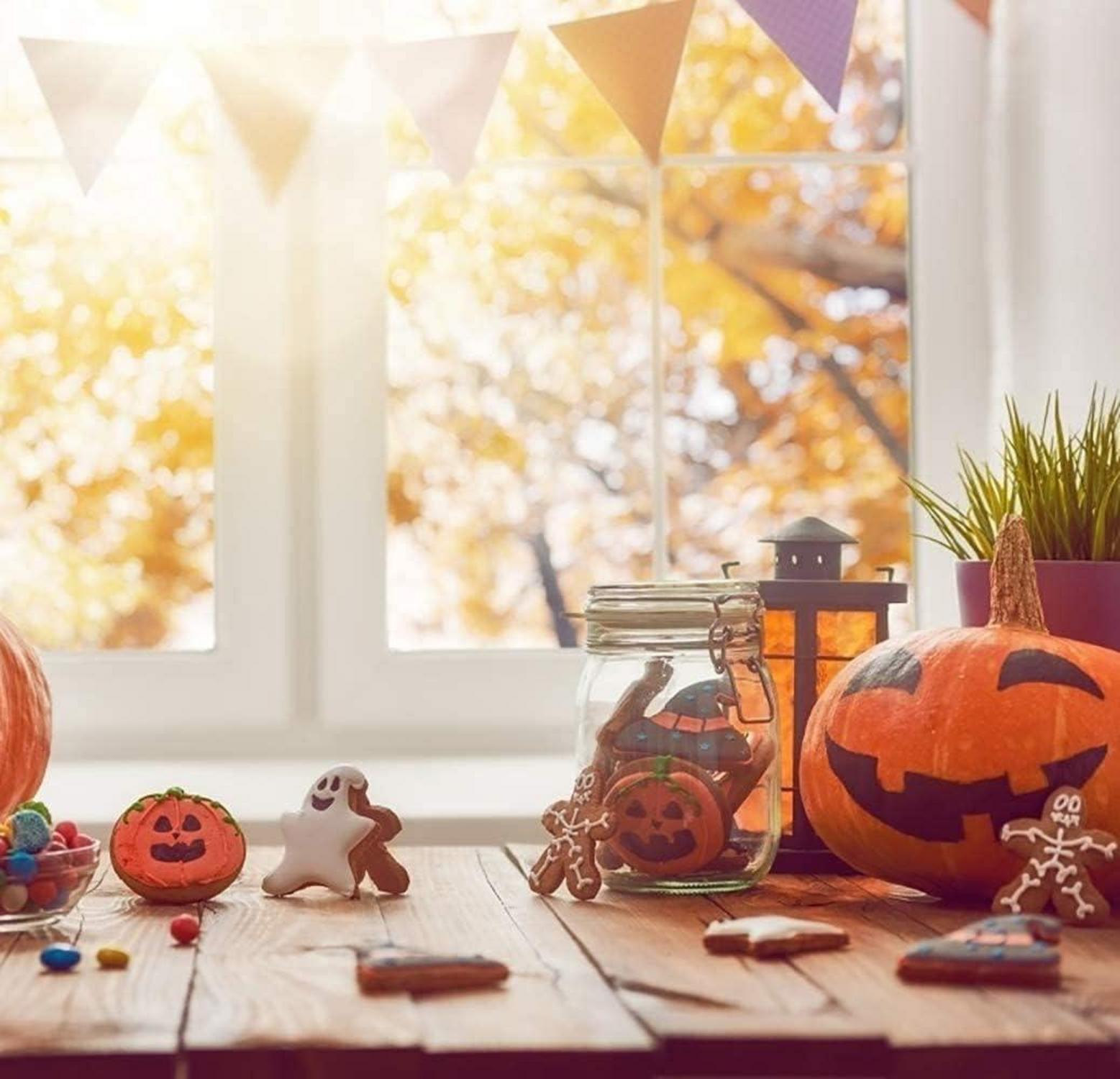 Halloween Keksausstecher Set 11 Stück Edelstahl Kürbis Geist Spinne