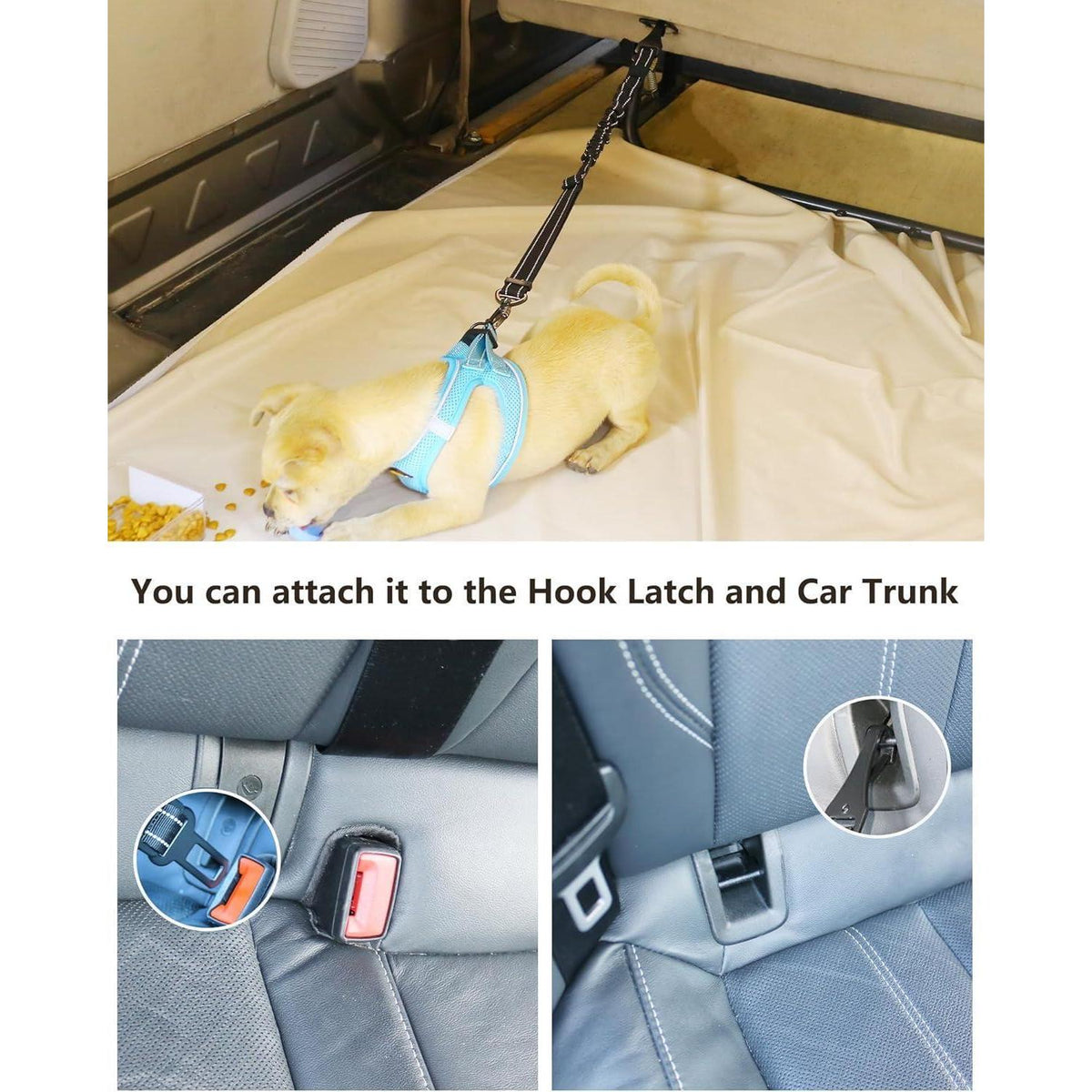 Hund Auto Sicherheitsgurt mit Bungee & 360° Drehklickverschluss