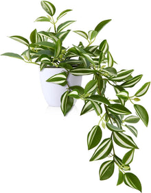 Künstliche Pflanze SOGUYI Modernes Wohnzimmer Deko 38cm