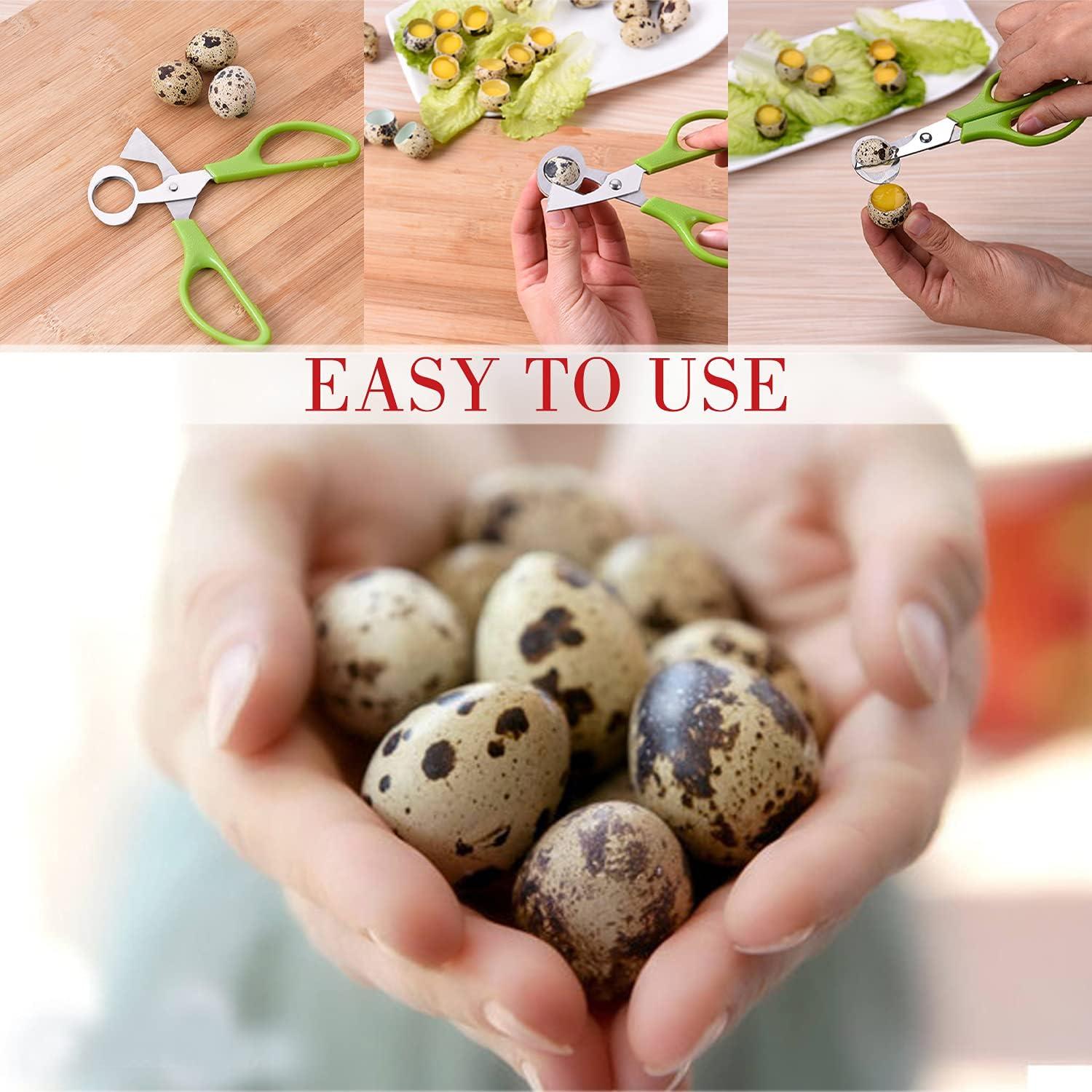 Wachtelei Schere Edelstahl Eierschneider Küchenwerkzeug Green