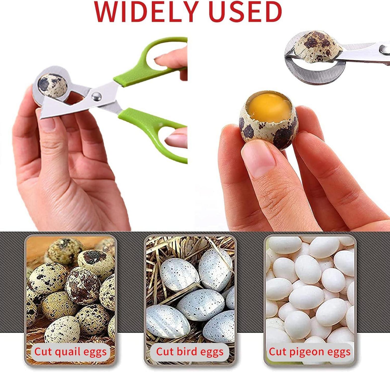 Wachteleierschere Edelstahl Eierschneider Wachteleierschalenöffner