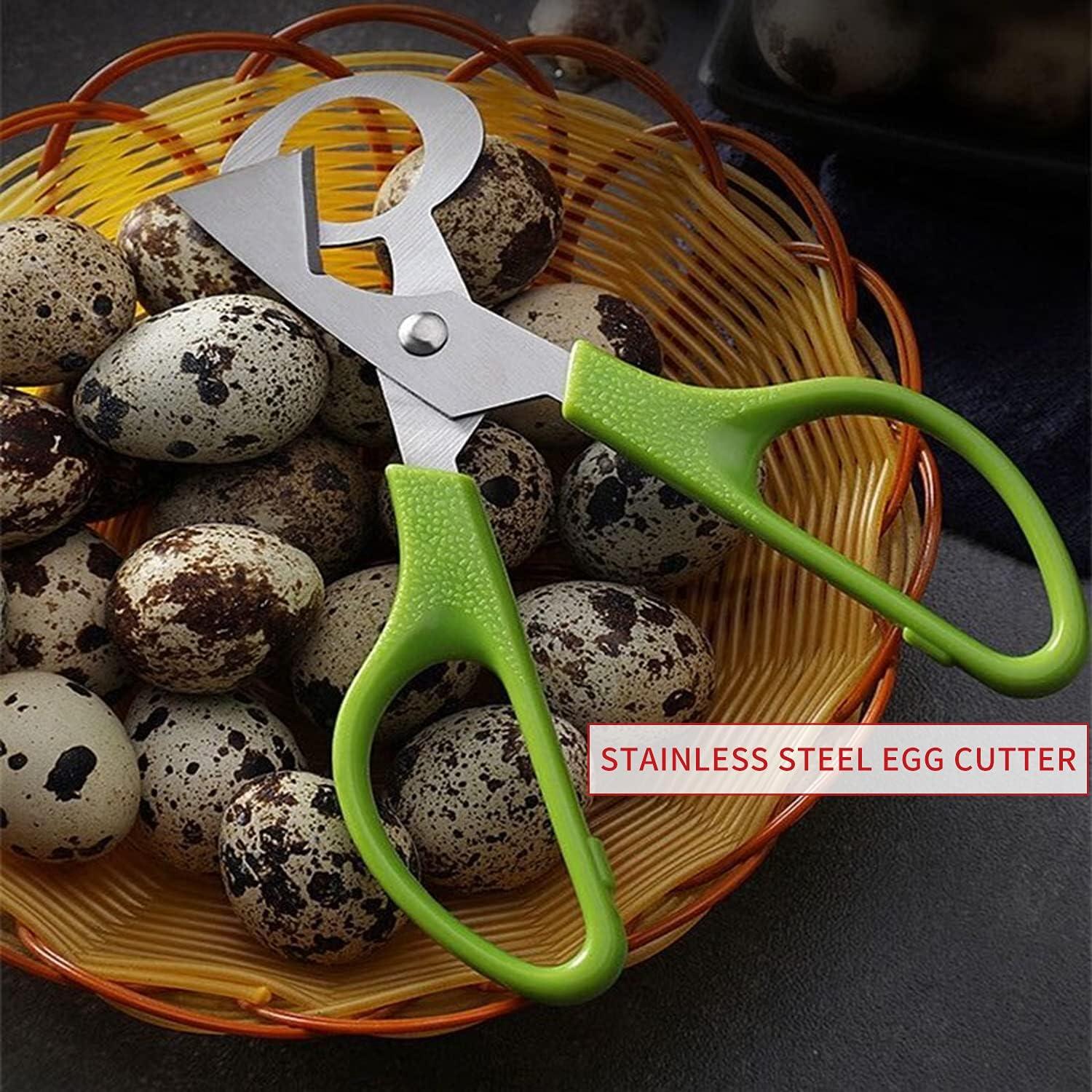 Wachteleier Schere Edelstahl Eierschneider Eierschalenöffner Grün