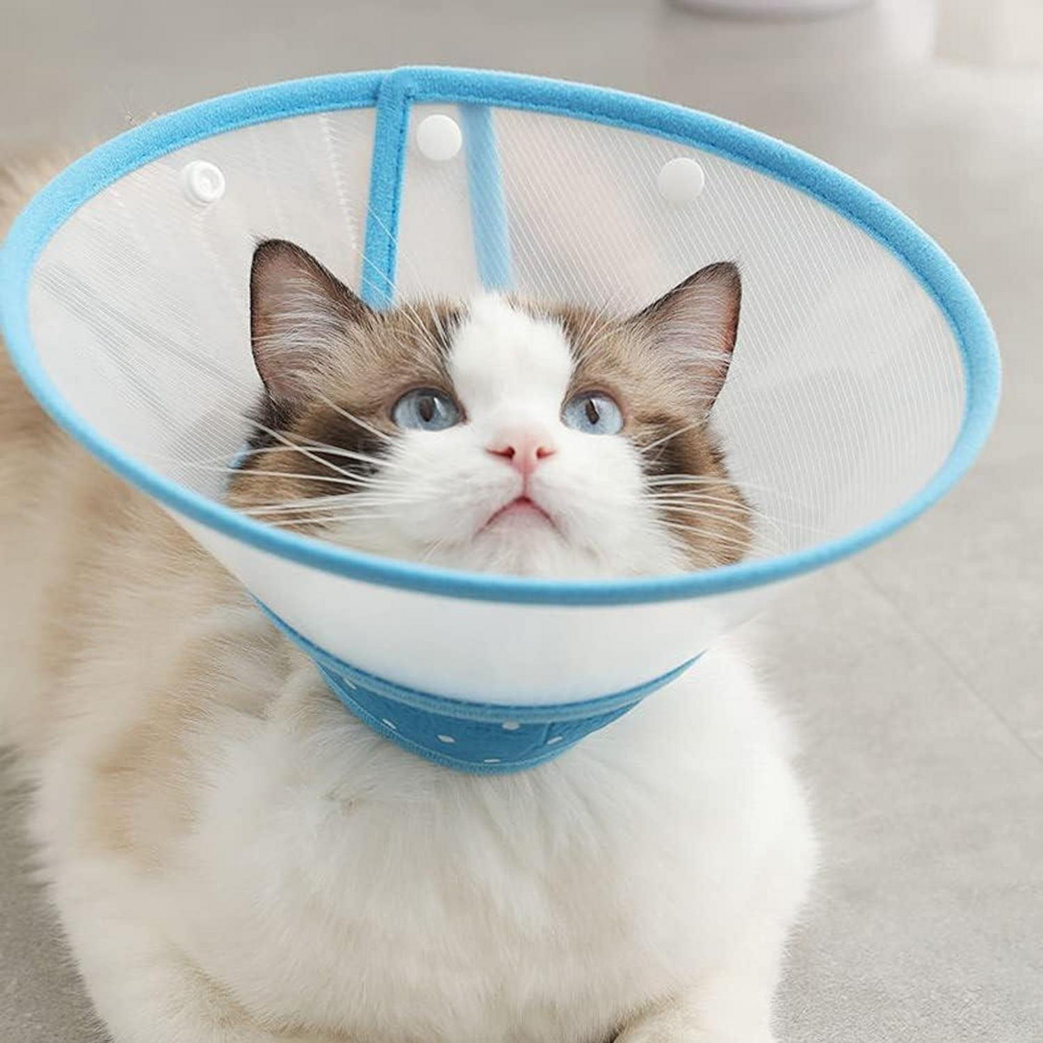 Verstellbare Haustier Halskrause für Welpen und Katzen Blau-S