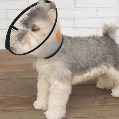 SUQ Haustier Kegel Einstellbare Halskrause für Kleine Hunde 30-33cm