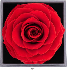 Ewige Echte Rose Geschenkbox mit Halskette und Ohrringen