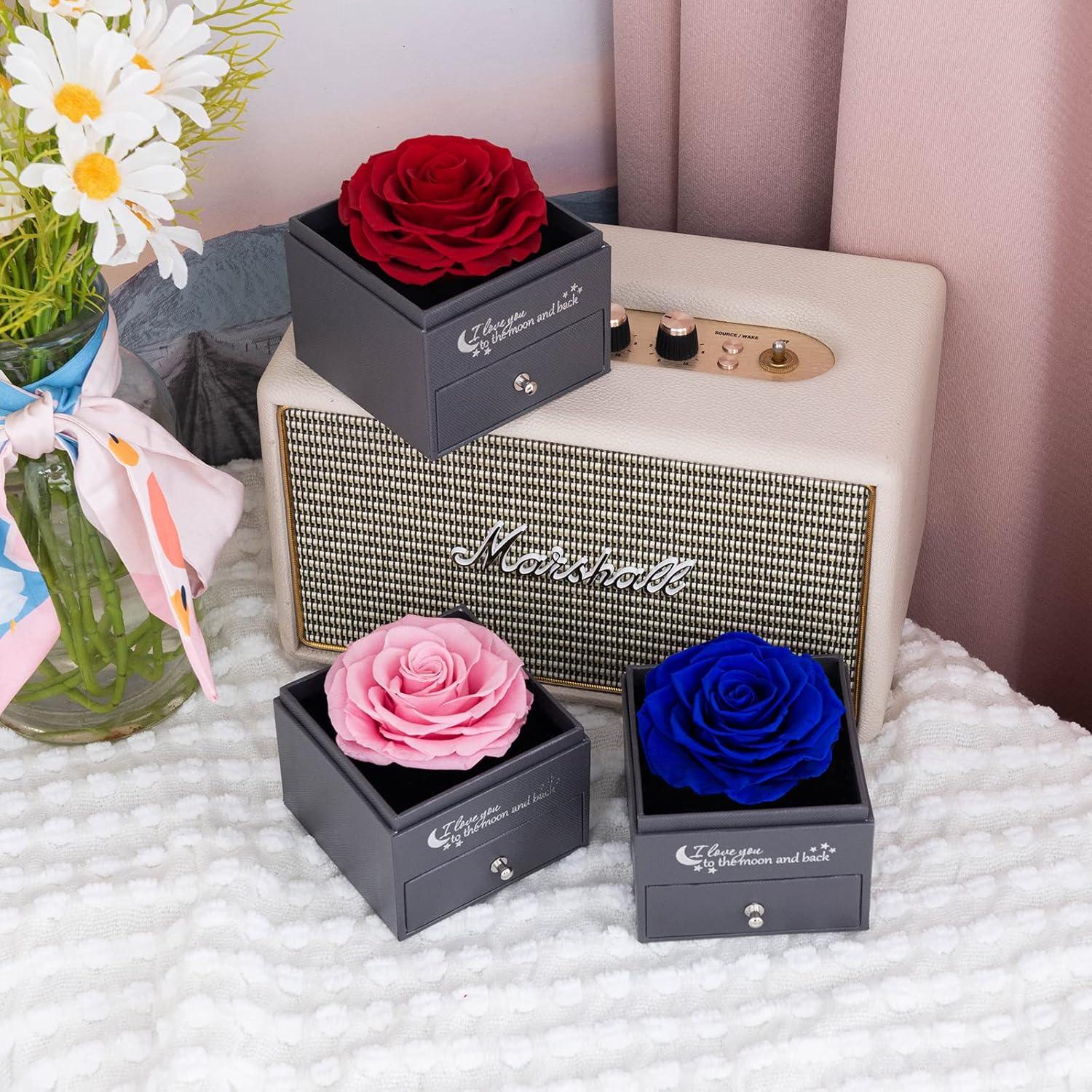 Ewige Echte Rosen-Geschenkbox mit Halskette Ohrringe Rot