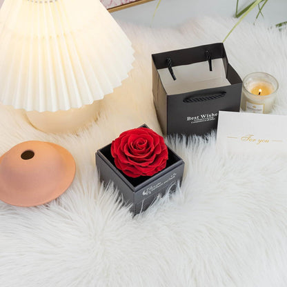 Ewige Echte Rose mit Halskette und Ohrringen in Geschenkbox - Rot