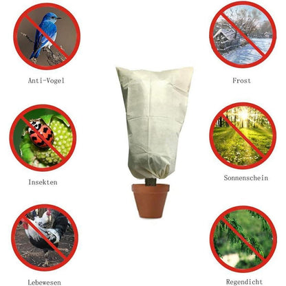 Winterschutz Pflanzenabdeckung 200x240cm - 3er Set