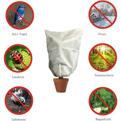 Winterschutz Pflanzenabdeckung 200x240cm - 2er Set