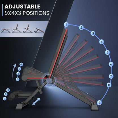 Klappbare Hantelbank - Verstellbar & Platzsparende