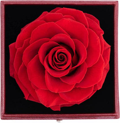 Konservierte Ewige Rose mit Herz-Halskette, Geschenkideen
